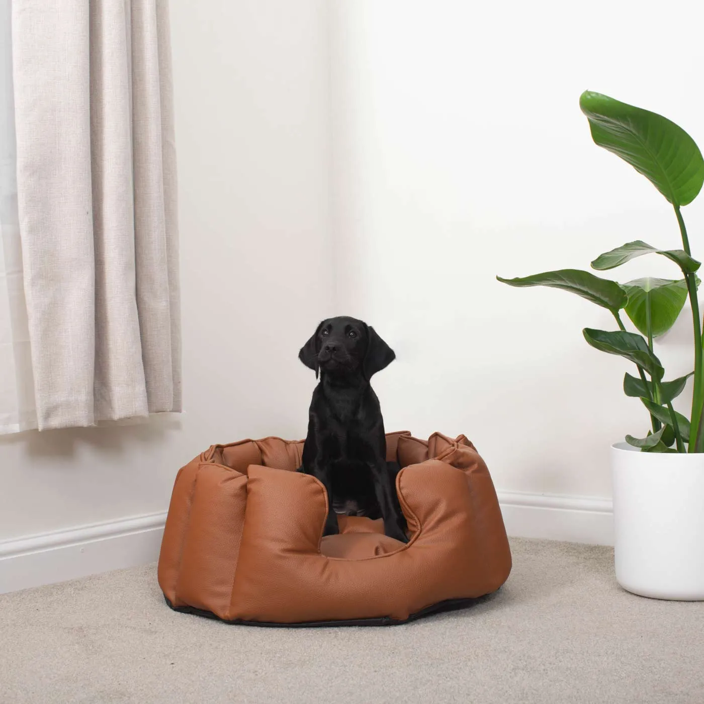 High Wall Bed in Rhino Tough Ember Faux Leather by Lords & Labradors