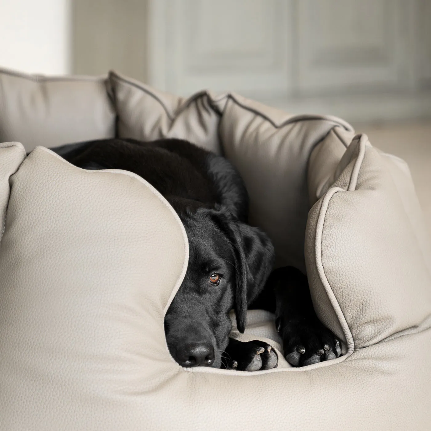 High Wall Bed With Removable Covers in Rhino Tough Camel Faux Leather by Lords & Labradors