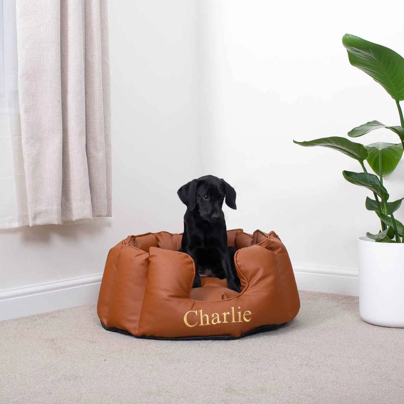 High Wall Bed With Removable Covers in Rhino Tough Ember Faux Leather by Lords & Labradors