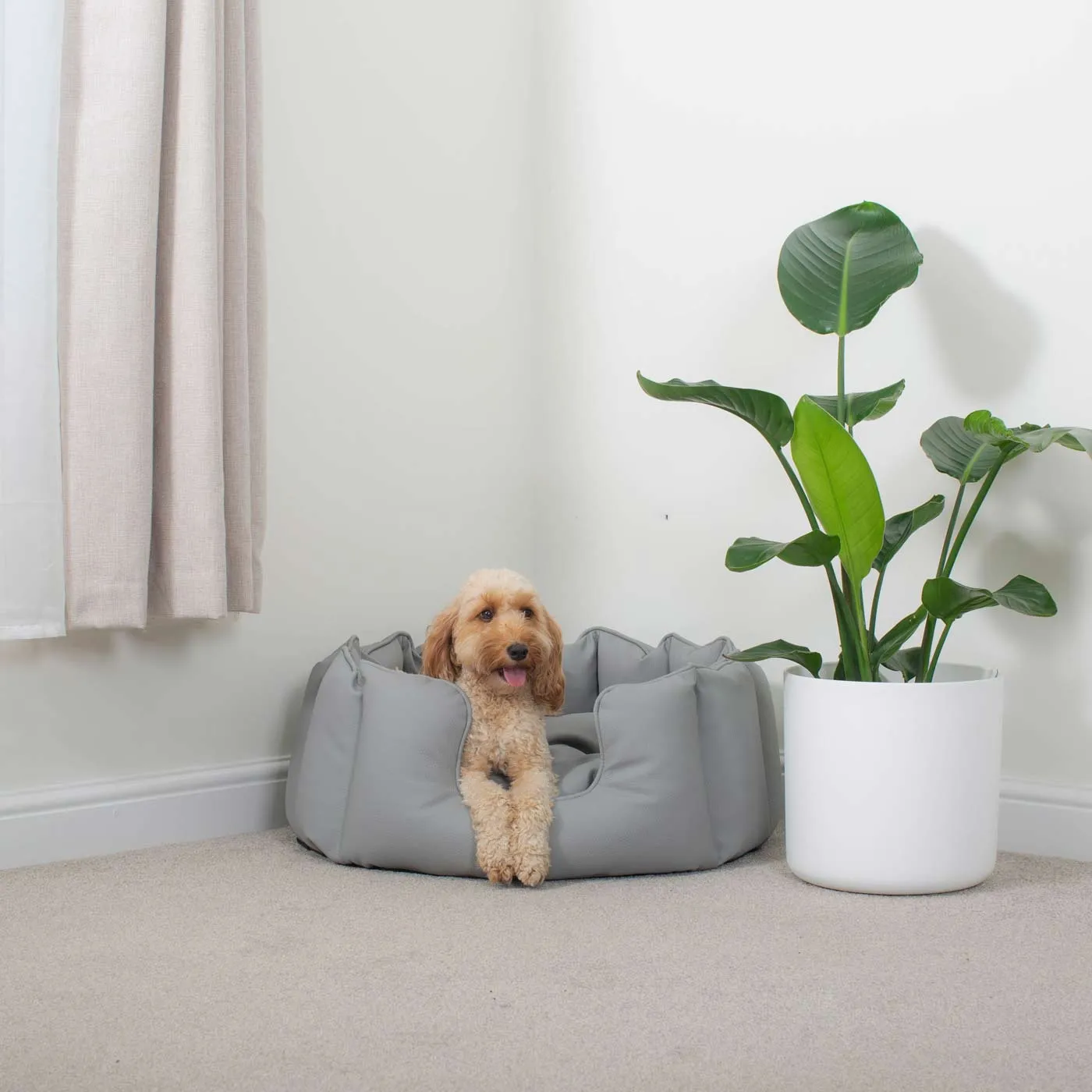 High Wall Bed With Removable Covers in Rhino Tough Granite Faux Leather by Lords & Labradors