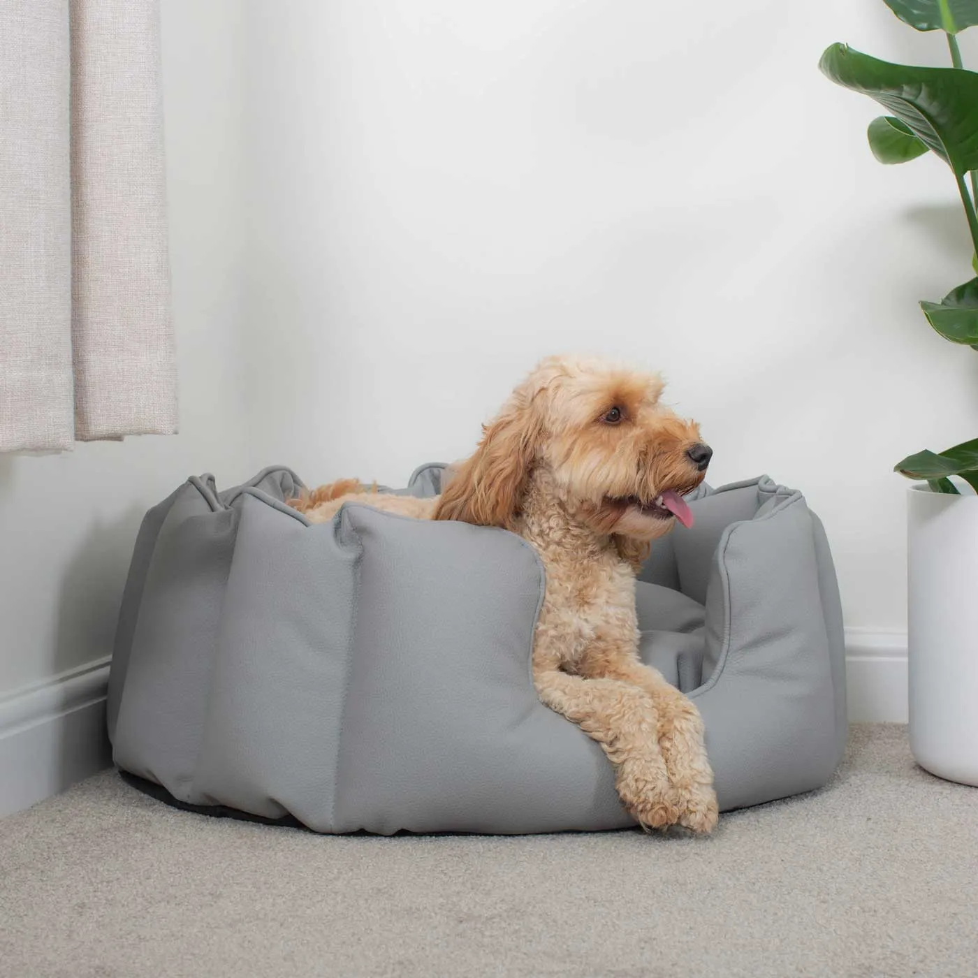 High Wall Bed With Removable Covers in Rhino Tough Granite Faux Leather by Lords & Labradors