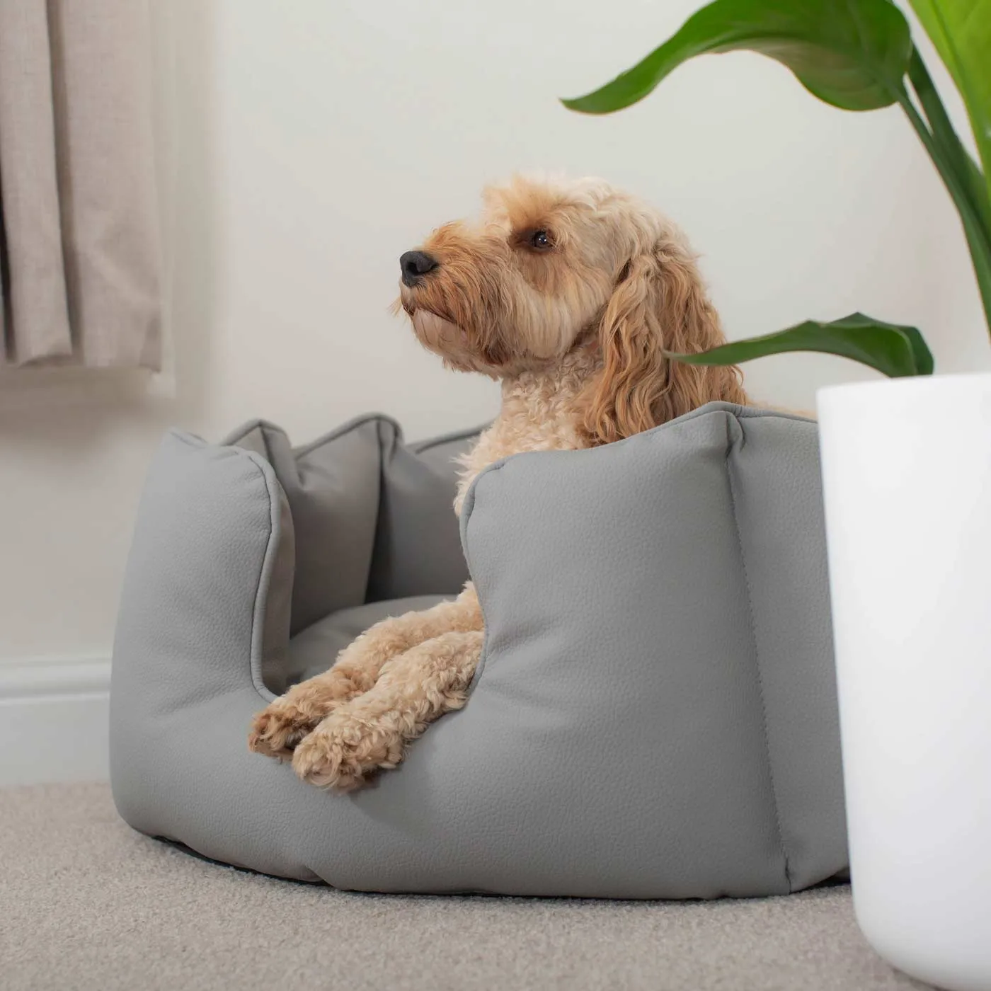 High Wall Bed With Removable Covers in Rhino Tough Granite Faux Leather by Lords & Labradors