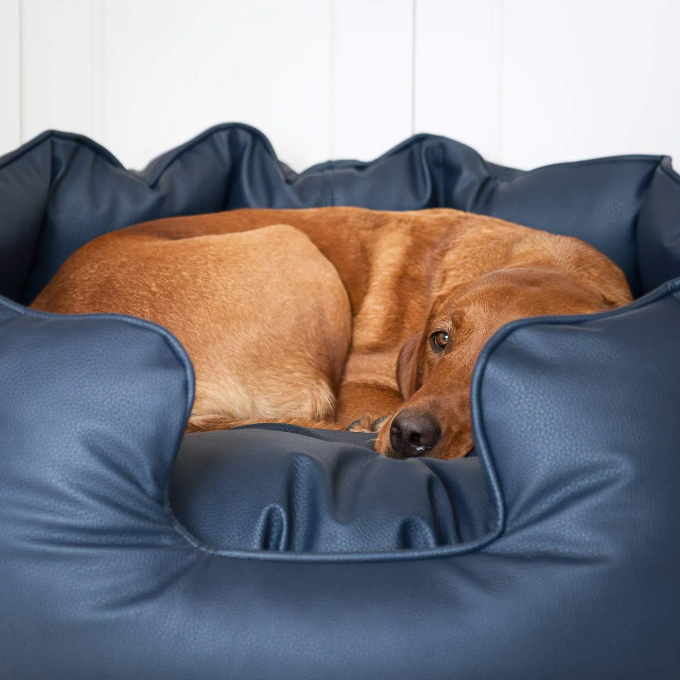 High Wall Bed With Removable Covers in Rhino Tough Pacific Faux Leather by Lords & Labradors