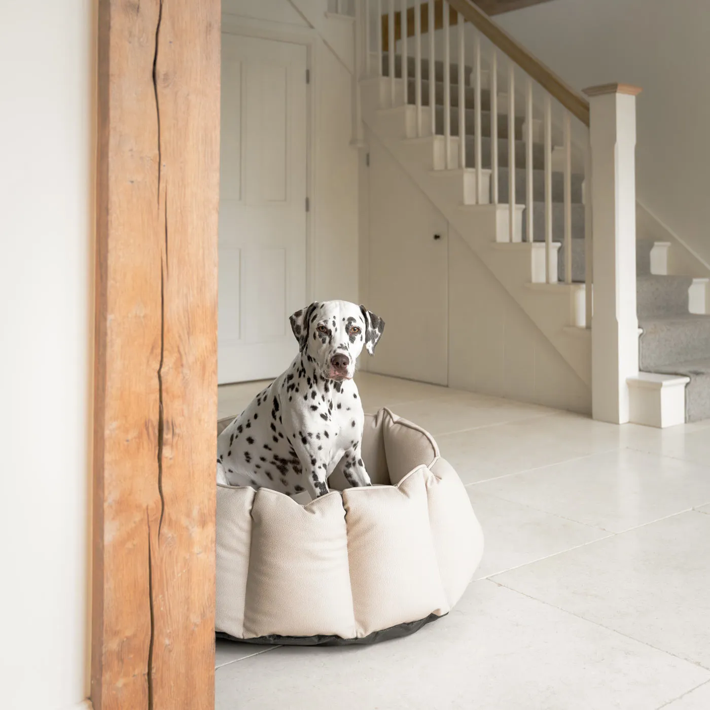 High Wall Bed With Removable Covers in Rhino Tough Sand Faux Leather by Lords & Labradors