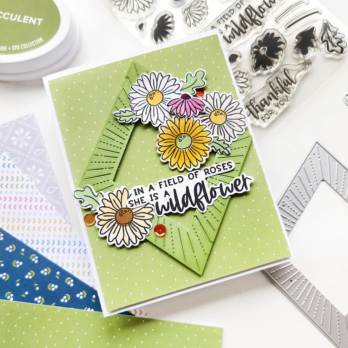 Lasso Life I Want It All  - One Click Bundle