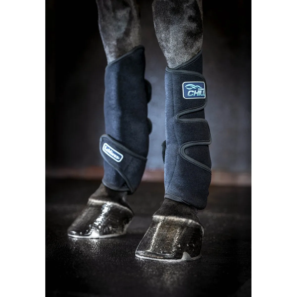 LeMieux Tendon Chill Boots