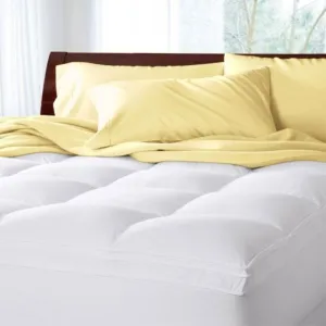 Renee Taylor Deluxe 1000GSM Mattress Topper