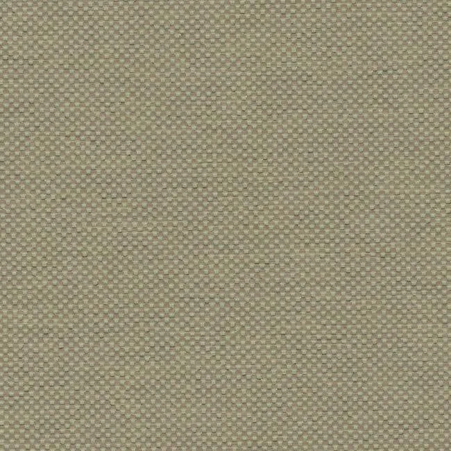 Salish Weave Textile Wallcovering