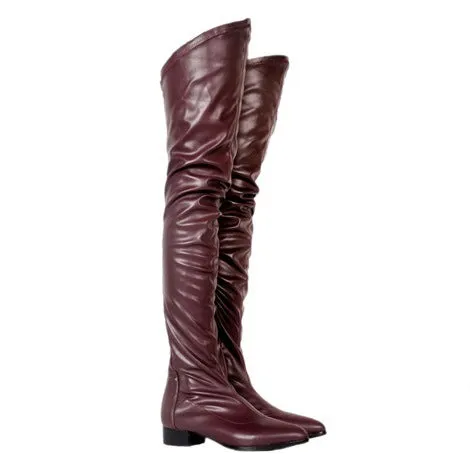 Women Pointed Toe Puppy Heel Thigh High Boots